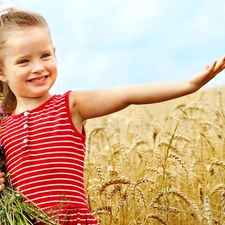 Wildflowers, Flowers, cereals, girl, corn