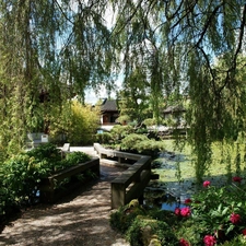 Garden, Pond - car, Willow, bridges