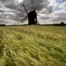 Windmill, Ears, cereals