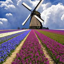 Windmill, field, Floral