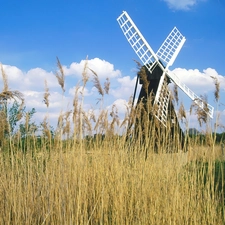 Meadow, grass, Windmill, dry