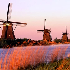 River, Windmills