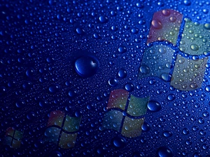 windows, water, drops
