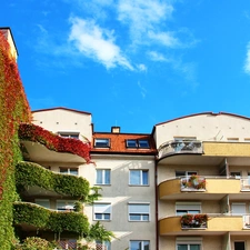 buildings, wild, wine, Wooded