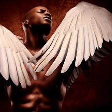 Angel, a man, wings