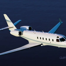 GulfStream G-100, wings