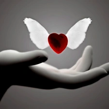 wings, hand, Heart