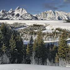 winter, Mountains, forest