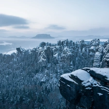 winter, rocks, forest