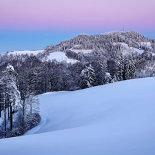 forest, snow, winter, Mountains