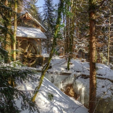 winter, Watermill, forest