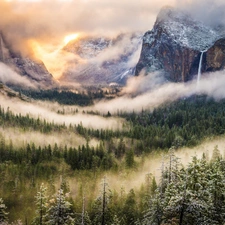 Mountains, Fog, winter, forest