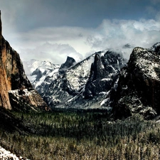 Mountains, forest, winter, rocks