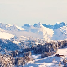 Mountains, Home, winter, forest