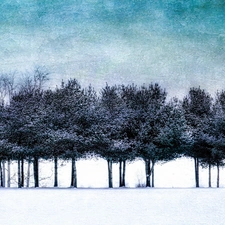 trees, snow, winter, viewes