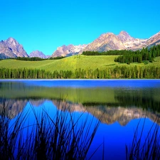 Wooded, edges, Mountains, reflection, lake