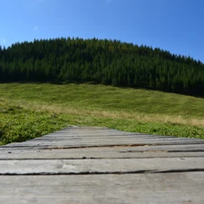 Zakopane, bridges, wooden, Meadow