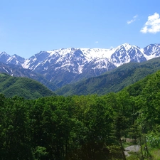 Alps, Mountains, woods, Switzerland