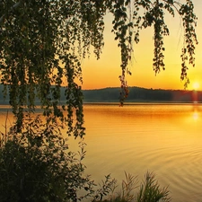 woods, lake, East, sun, Mountains, birch-tree