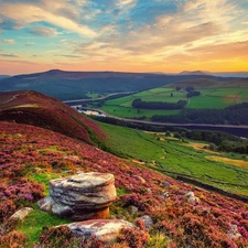 Mountains, woods, England, Valley, sun, field, River, west