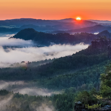 rocks, Saxon Switzerland National Park, Děčínská vrchovina, woods, Sunrise, Germany, viewes, Fog, trees