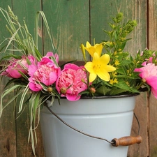 Yellow, Flowers, Pink, Peonies, bucket