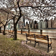 River, boulevard, New York, USA, skyscrapers, Bench