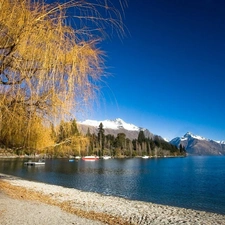 trees, Beaches, Wakatipu, Mountains, lake, viewes, New Zeland